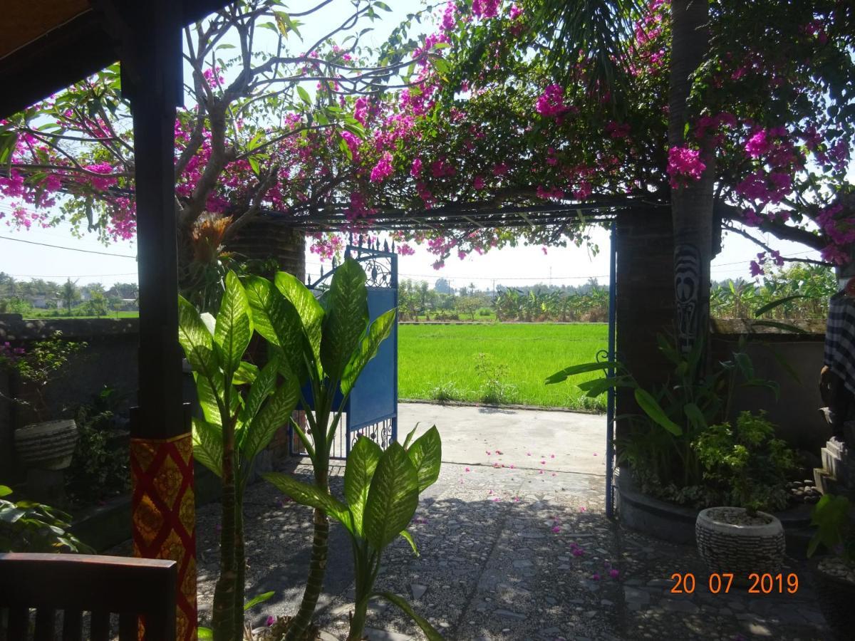 Villa Murni لوفينا المظهر الخارجي الصورة